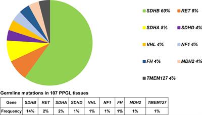 Mutational Profile and Potential Molecular Therapeutic Targets of Pheochromocytoma